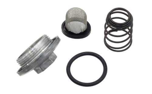 ZK1025 a - Filtr oleju + sprężyna + korek 4T GY6 50cc kpl.jpg