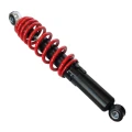 ZZ1301-30 a - Amortyzator ATV 110cc 10-10-300 MORETTI.webp
